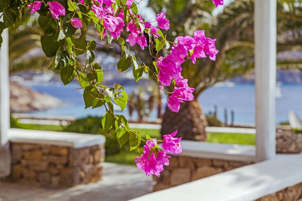 Mykonos Town Sea View Residence מראה חיצוני תמונה